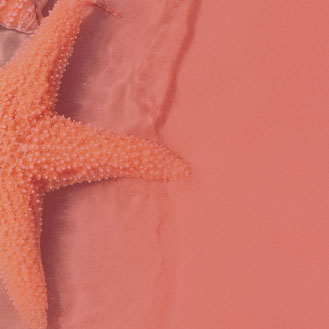 Background of a starfish in shallow water.