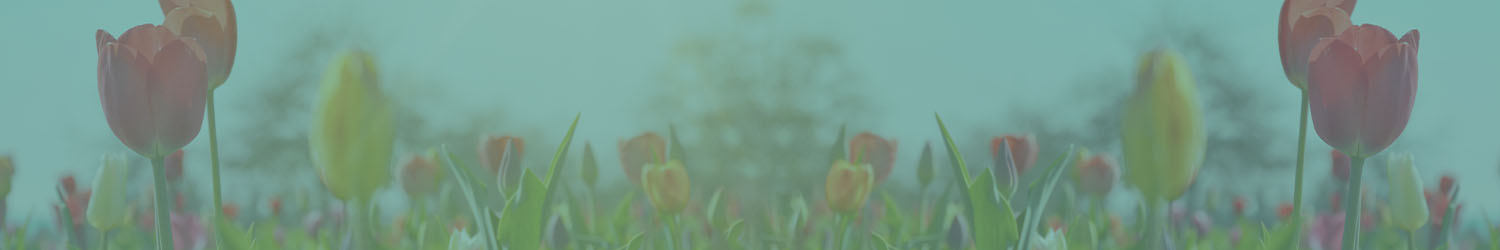 Background of a field of flowers.