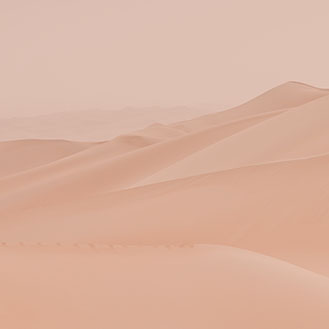 Background of the desert.