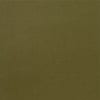OLIVE color swatch for Classic Long Sleeve Turtleneck Top.