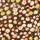 Chocolate-Printed color swatch for Floral Print Tee.