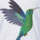 Hummingbird color swatch for Tropical Bird Print Top.