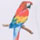 Parrot color swatch for Tropical Bird Print Top.
