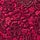 Dark Red-Red-Patterned color swatch for Lace V-Neck Top.