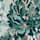 Ecru-Jade-Printed color swatch for Allover Floral Print Top.