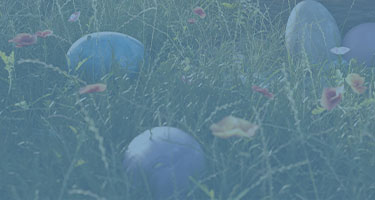 Background of Easter eggs in a flowery field.