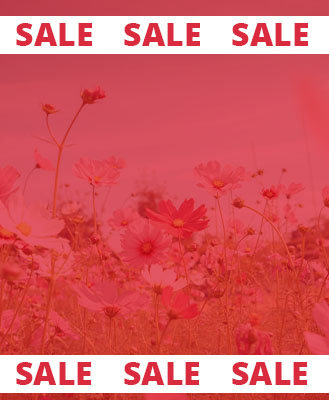 Background image of spring celebration sale.